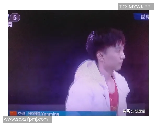 2023年体操世锦赛鞍马决赛精彩回顾与选手表现分析