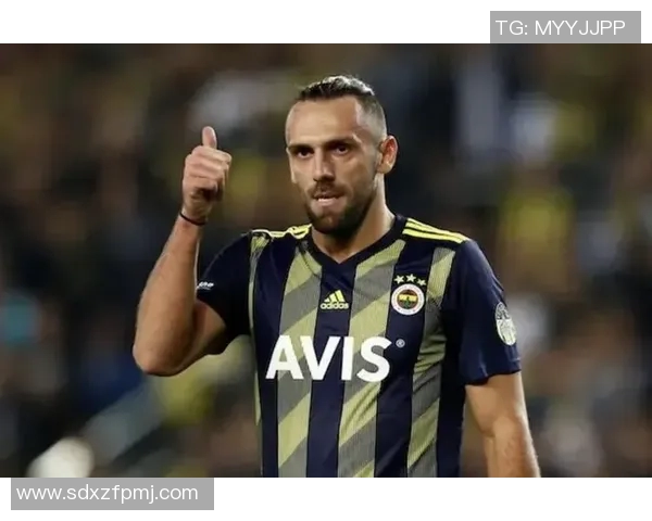 韦达特穆里奇精彩破门助力马略卡赢得关键比赛